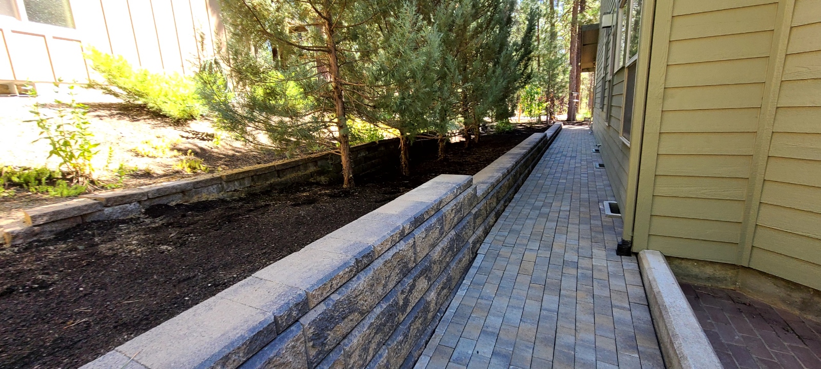 Mike the Tree Guy: Service Image-9 Mike the Tree Guy: Service Image-9