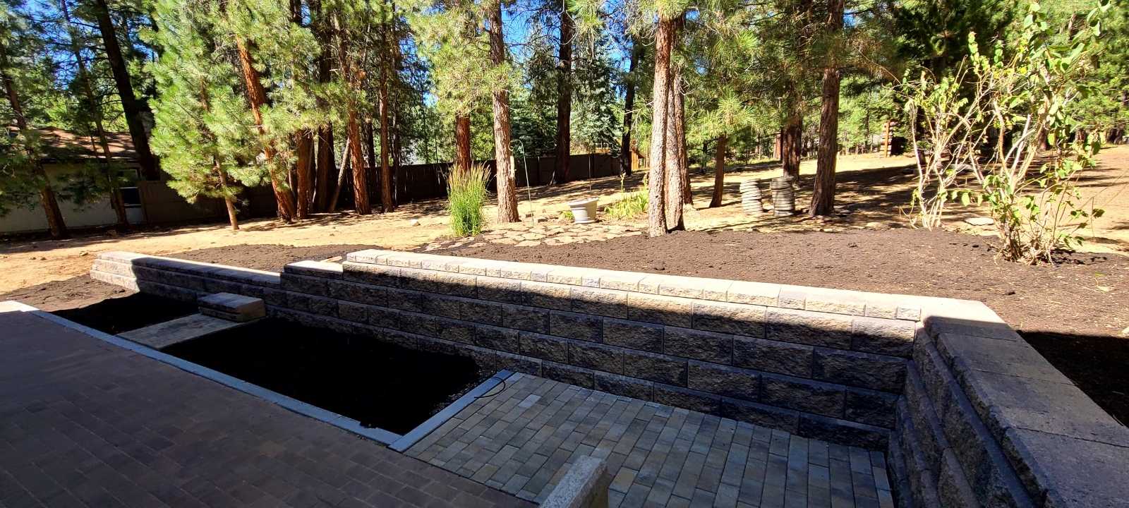 Mike the Tree Guy: Service Image-10 Mike the Tree Guy: Service Image-10