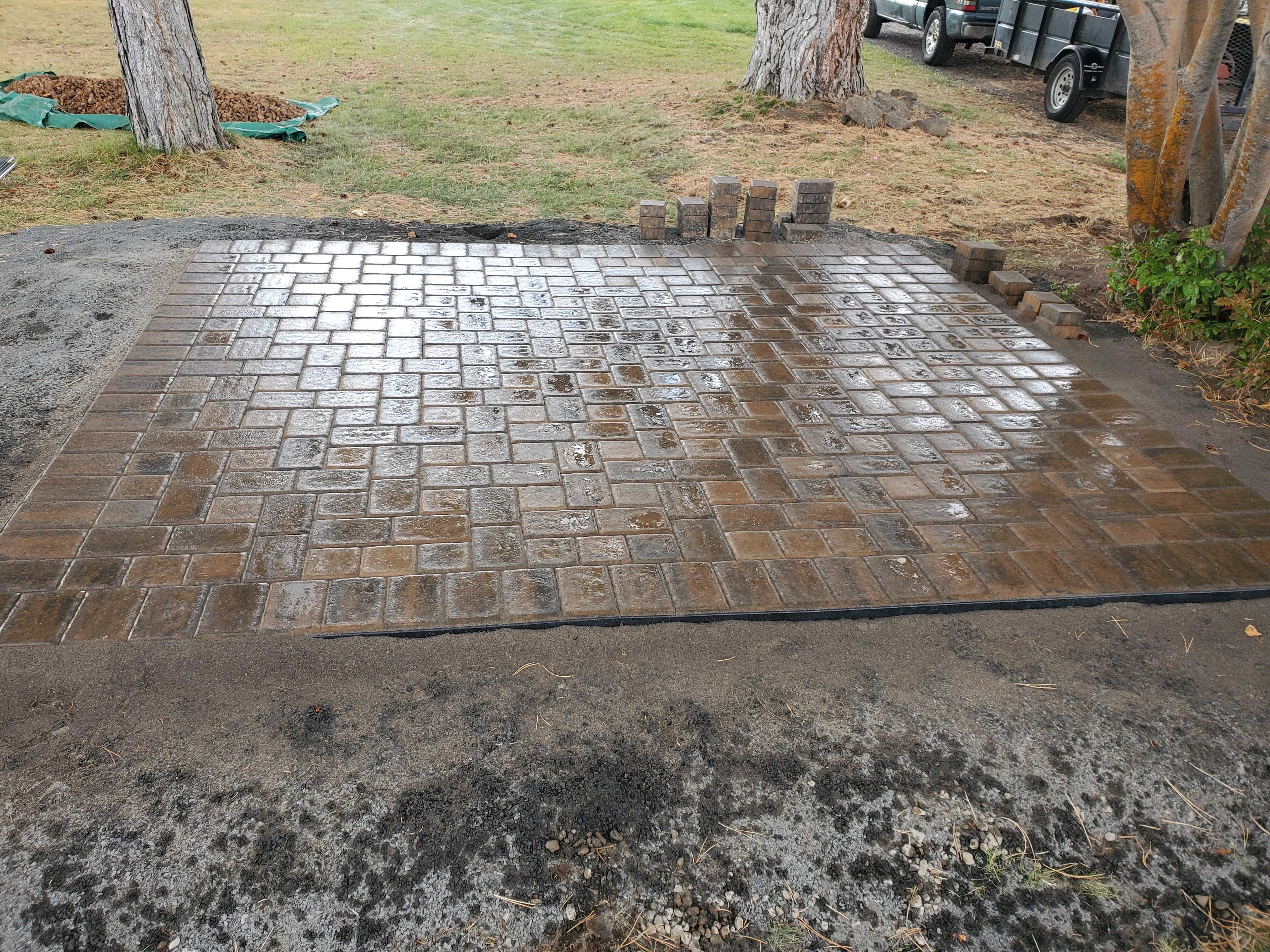 Mike the Tree Guy: Service Image-11 Mike the Tree Guy: Service Image-11