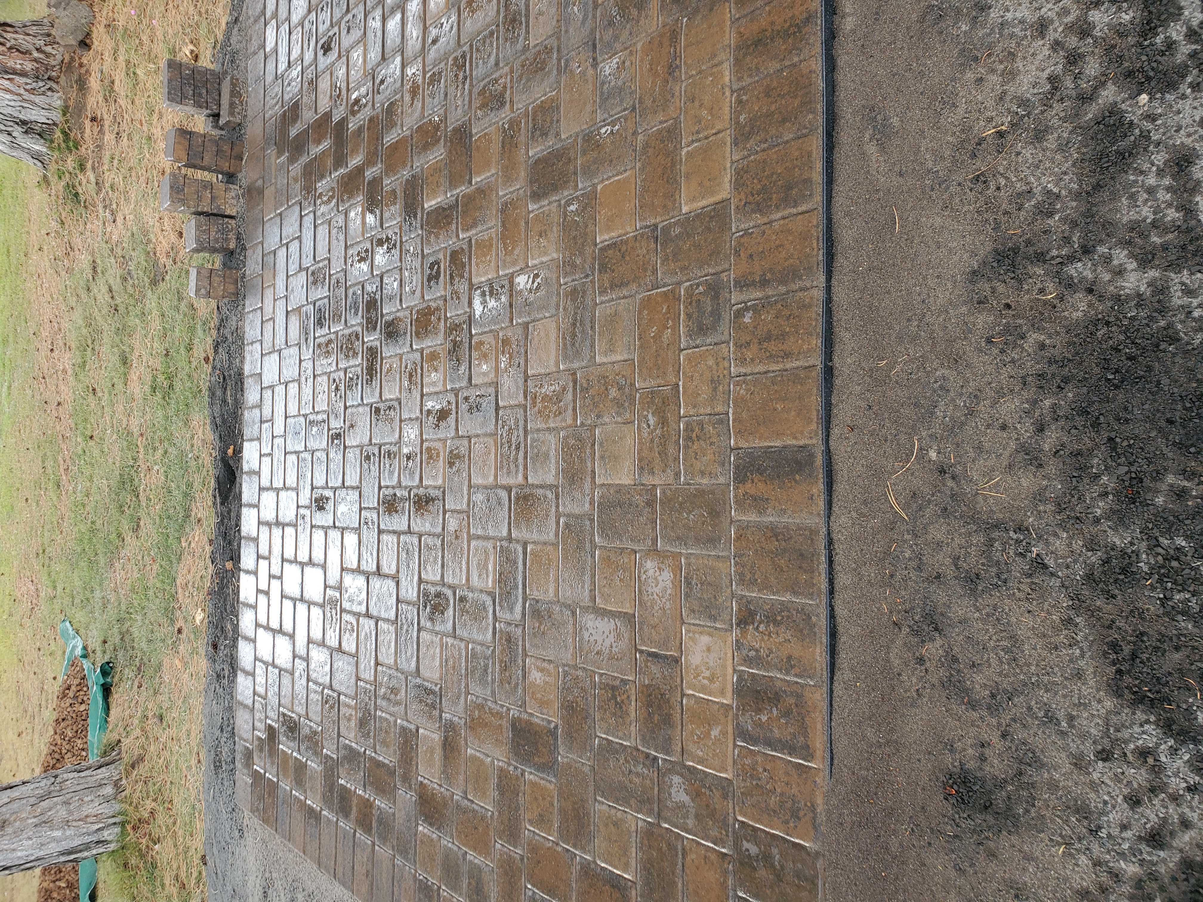 Mike the Tree Guy: Service Image-12 Mike the Tree Guy: Service Image-12