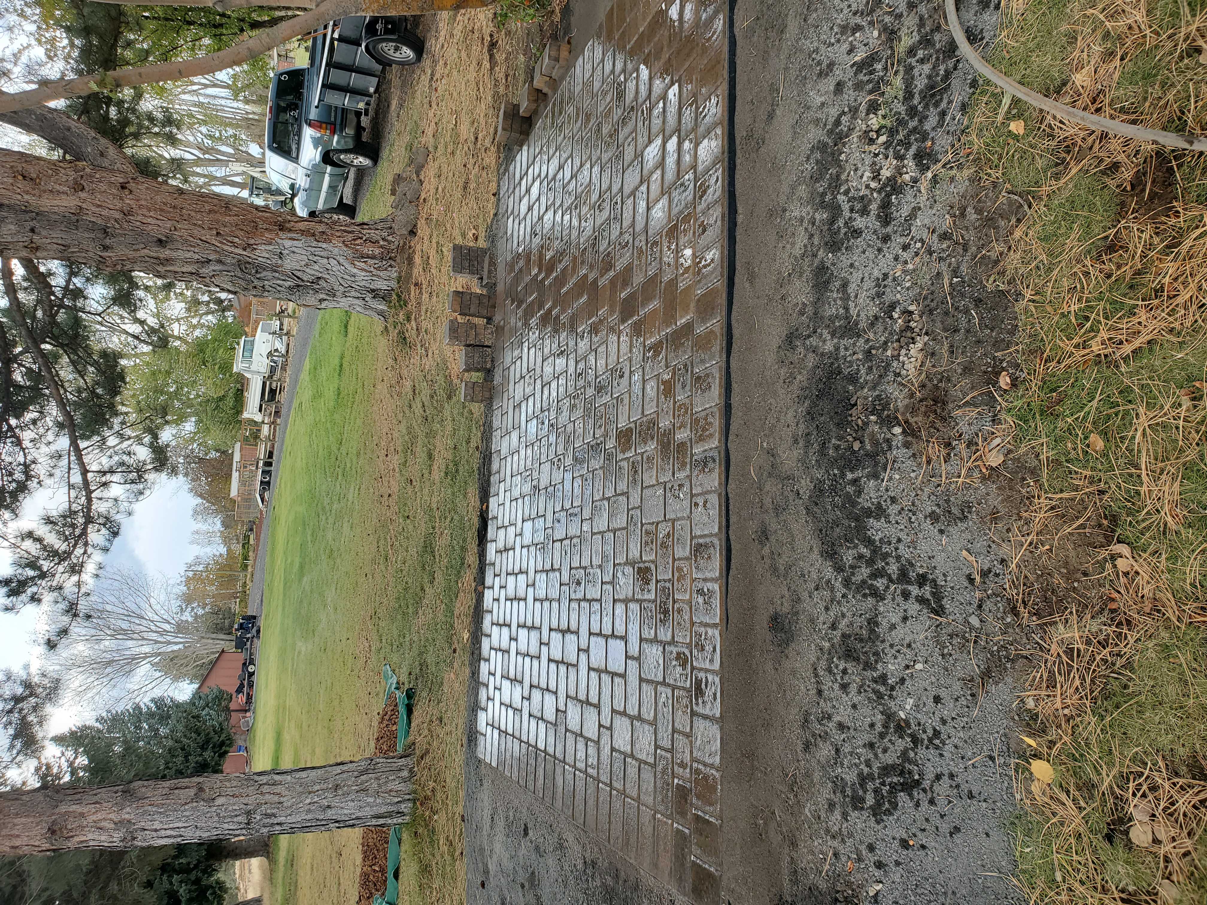 Mike the Tree Guy: Service Image-13 Mike the Tree Guy: Service Image-13