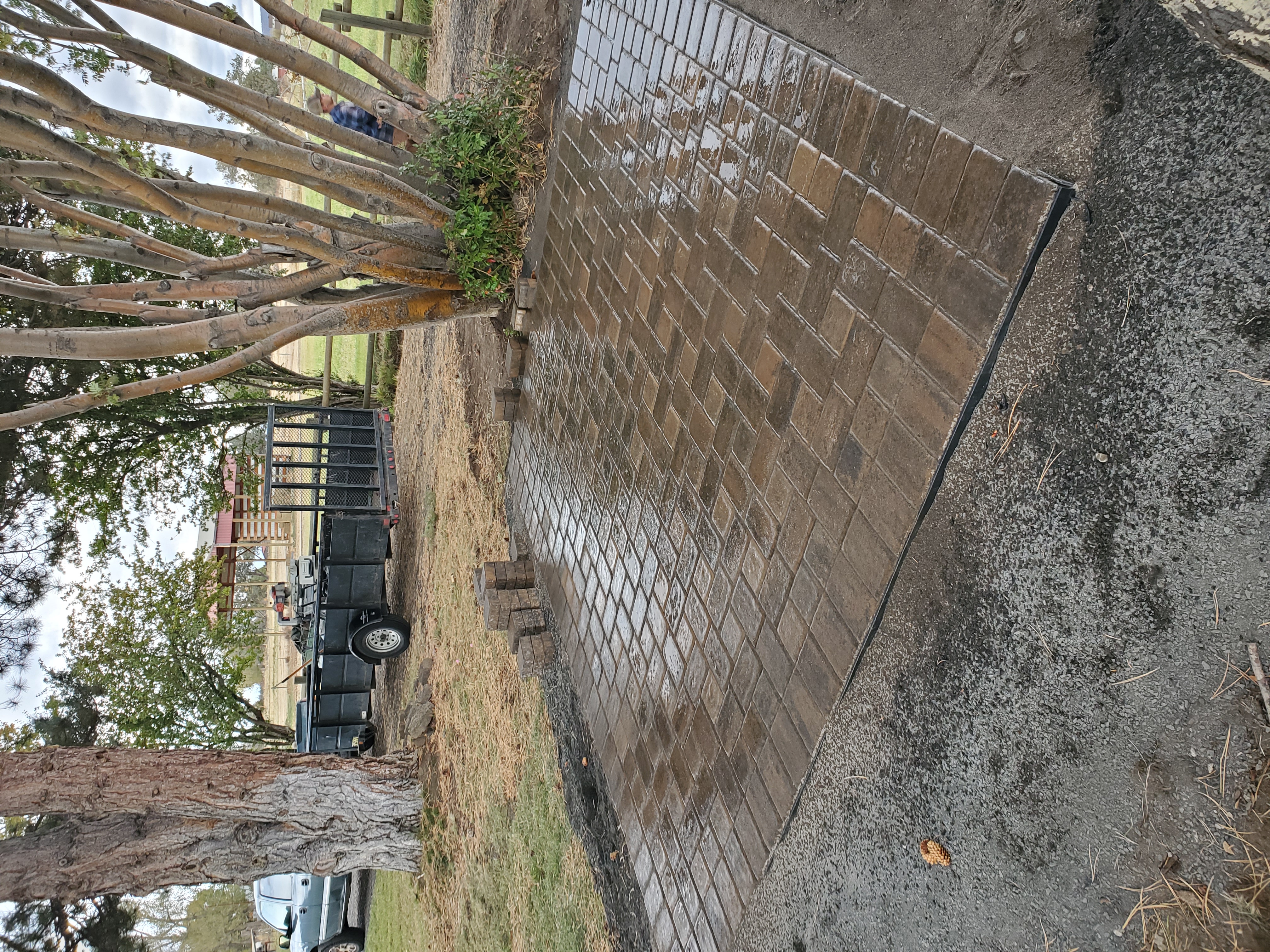 Mike the Tree Guy: Service Image-14 Mike the Tree Guy: Service Image-14