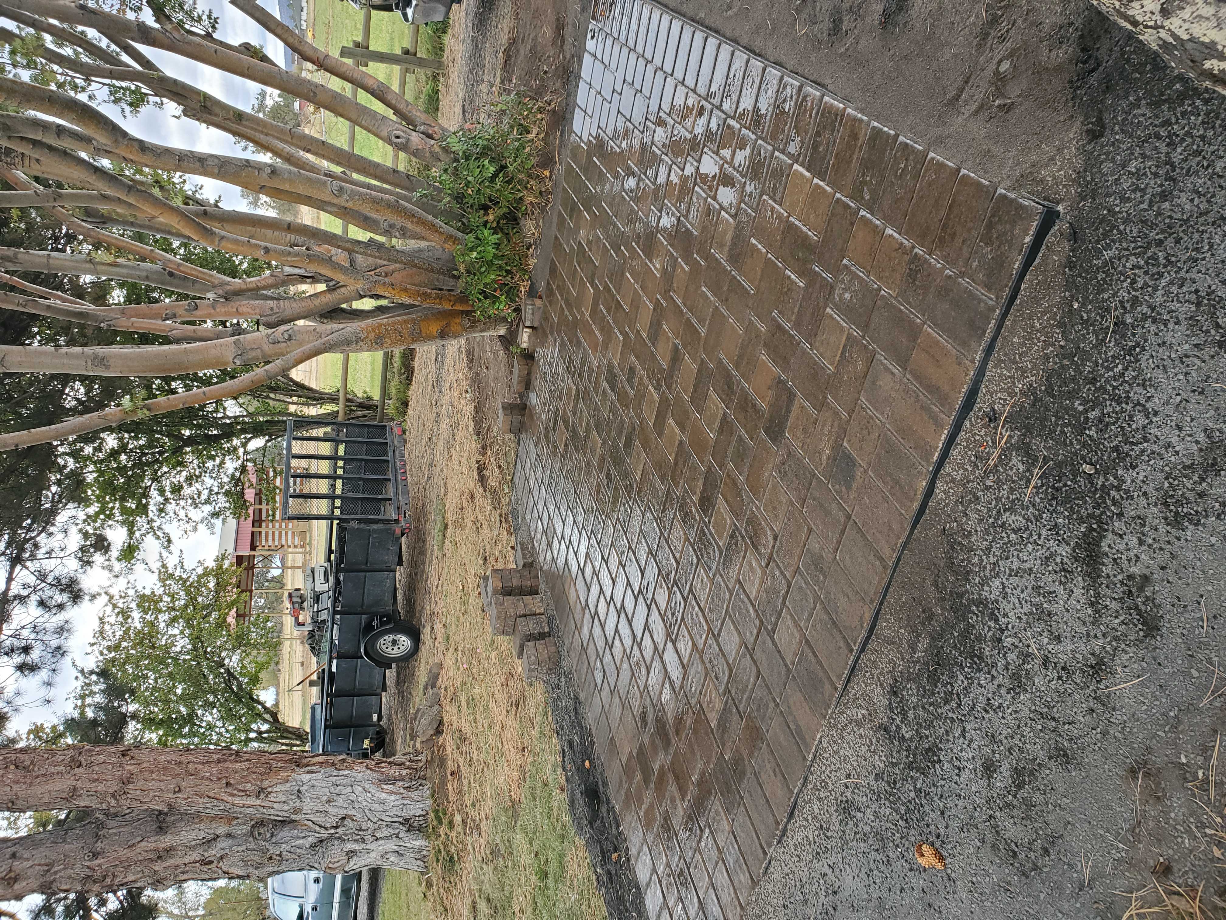 Mike the Tree Guy: Service Image-15 Mike the Tree Guy: Service Image-15