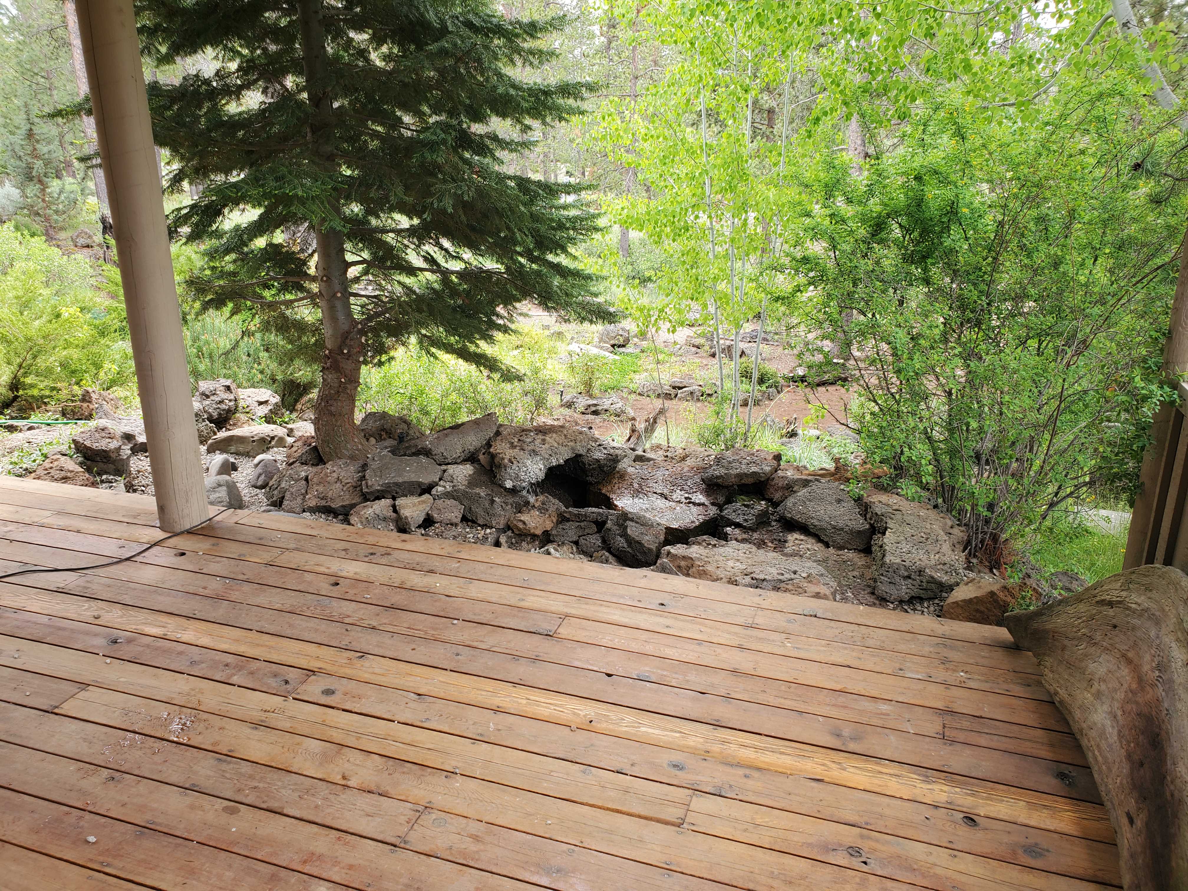 Mike the Tree Guy: Service Image-16 Mike the Tree Guy: Service Image-16