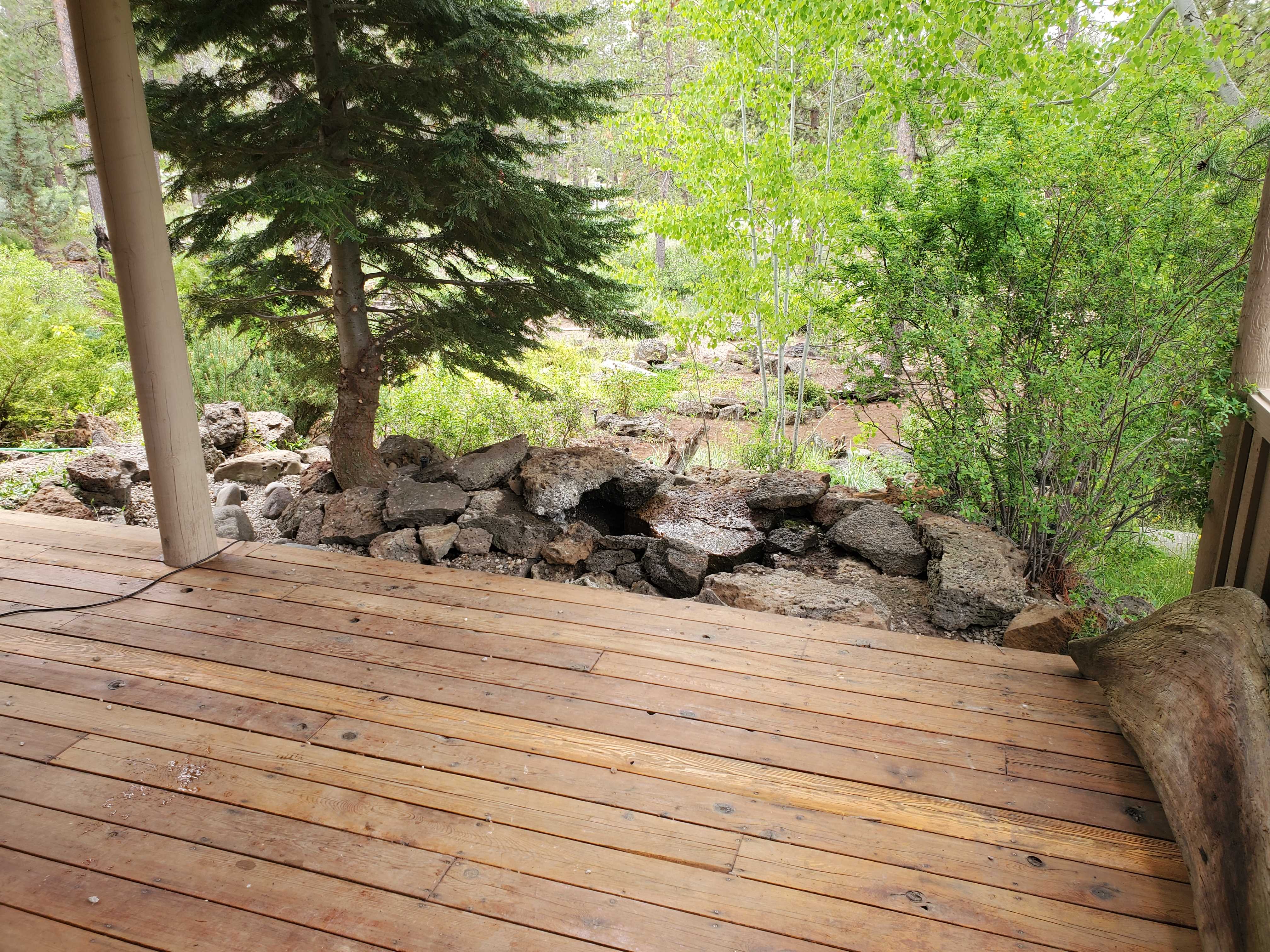 Mike the Tree Guy: Service Image-17 Mike the Tree Guy: Service Image-17