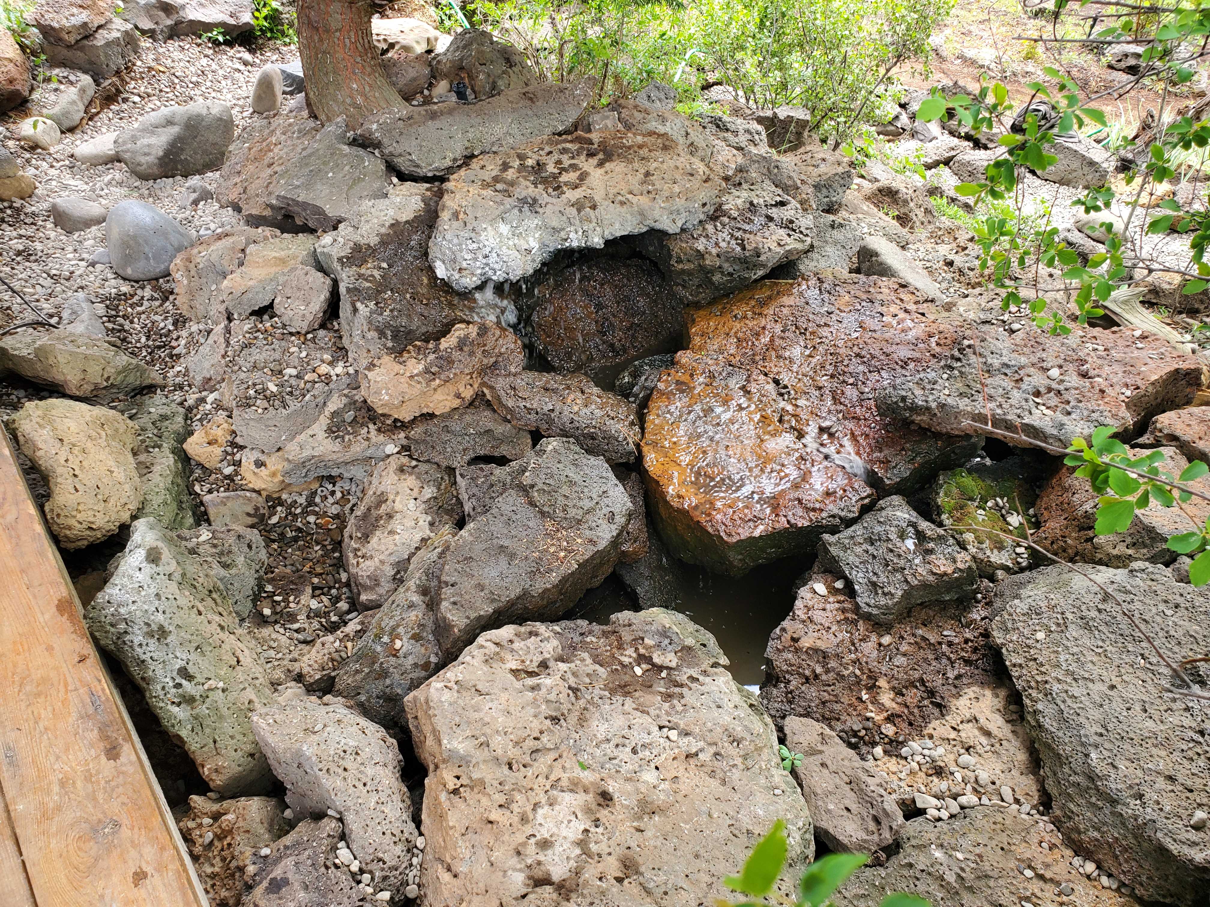 Mike the Tree Guy: Service Image-18 Mike the Tree Guy: Service Image-18