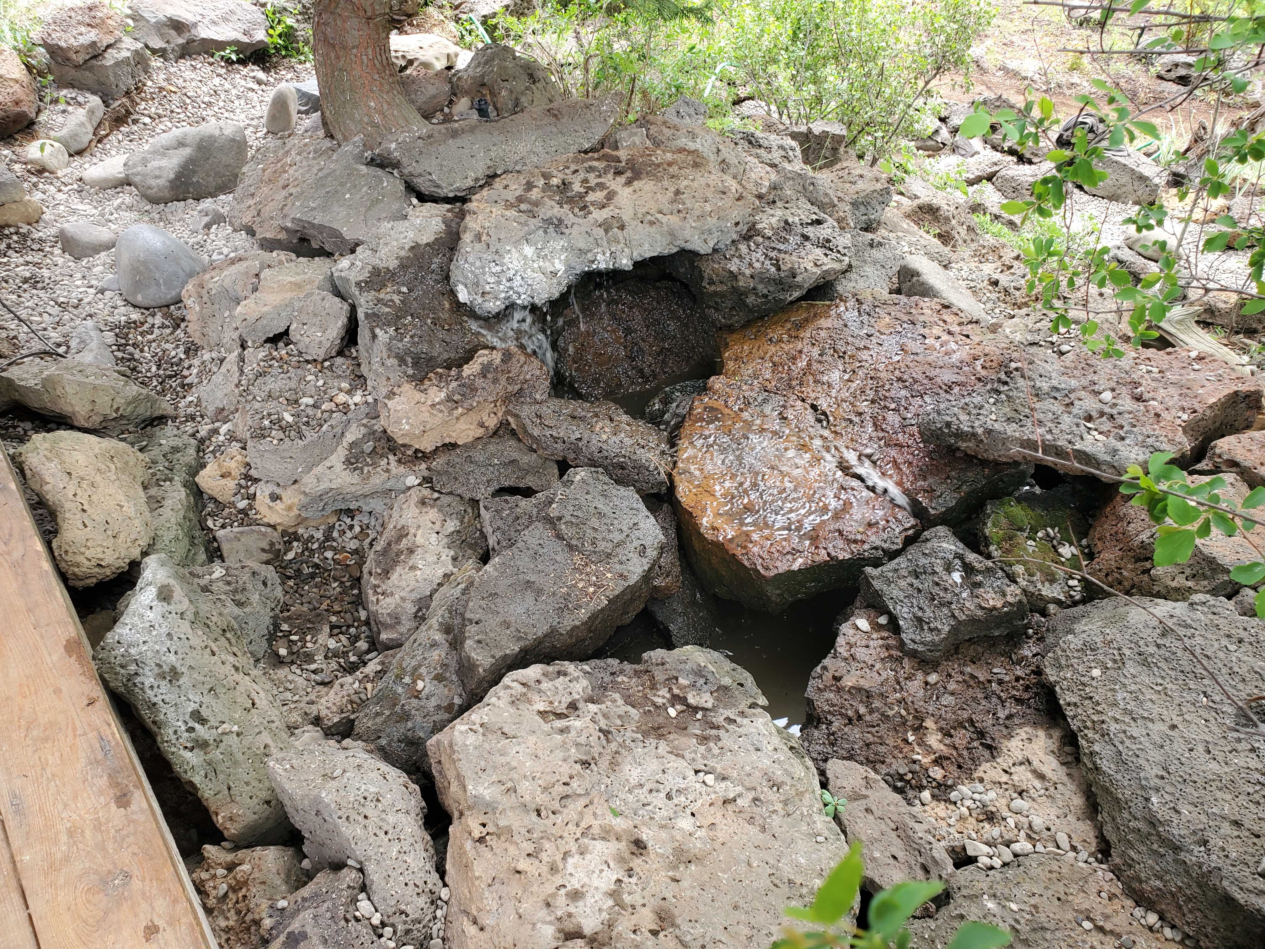 Mike the Tree Guy: Service Image-19 Mike the Tree Guy: Service Image-19